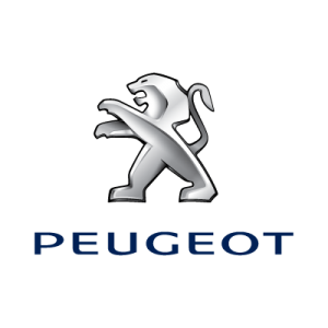 chei auto peugeot chei auto timisoara